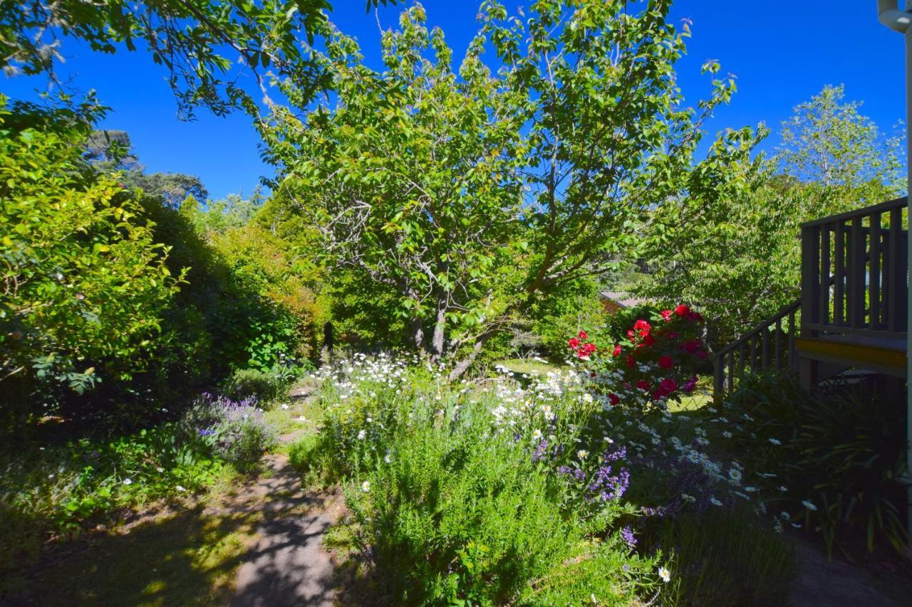 Mintie Cottage On Leura Mall Екстер'єр фото