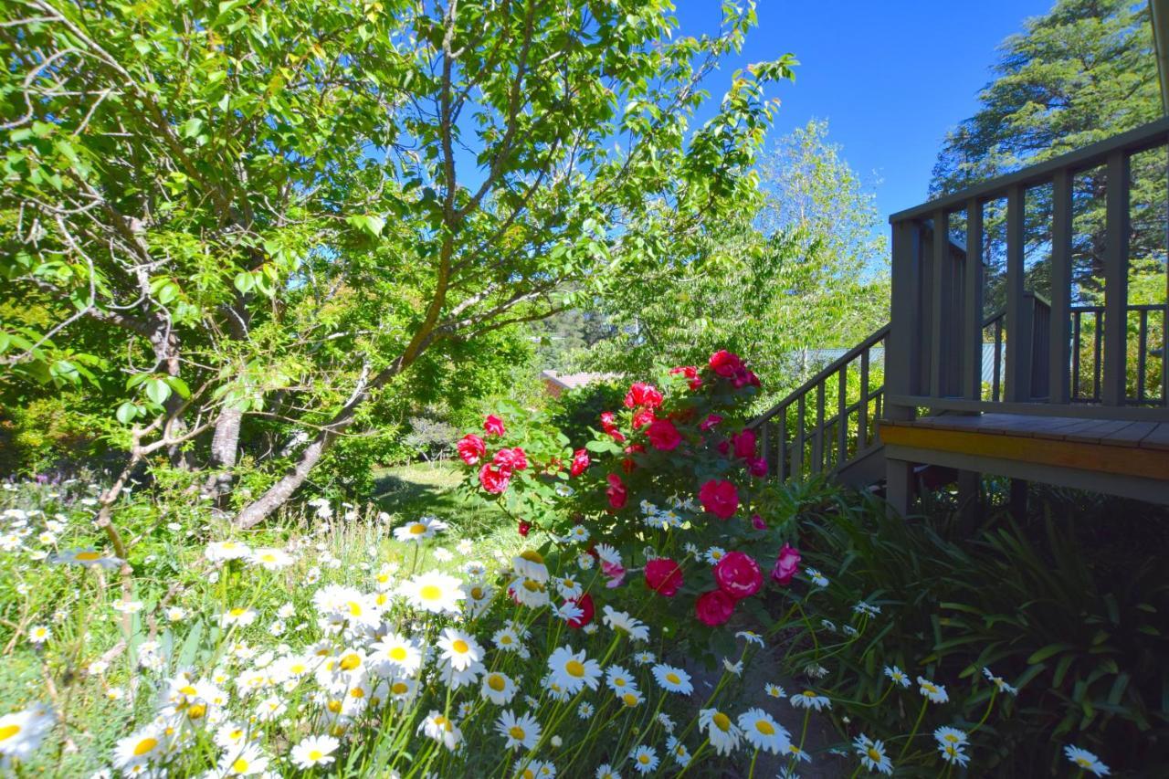 Mintie Cottage On Leura Mall Екстер'єр фото